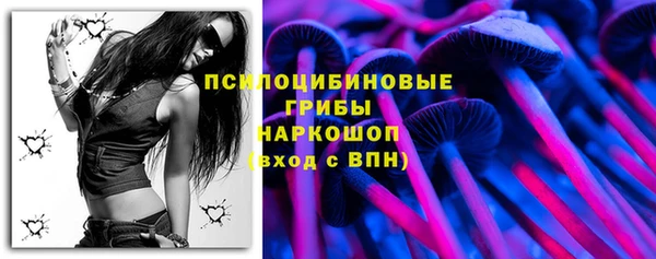 гидра Балахна