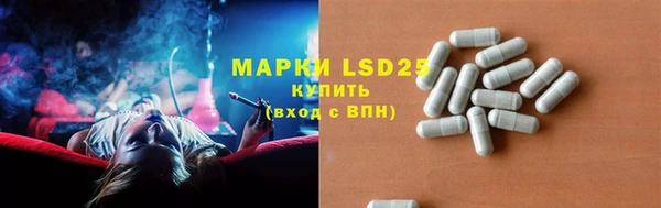 индика Арсеньев