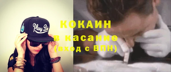 индика Арсеньев