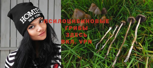 прущая мука Аркадак