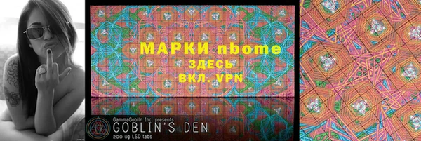 индика Арсеньев