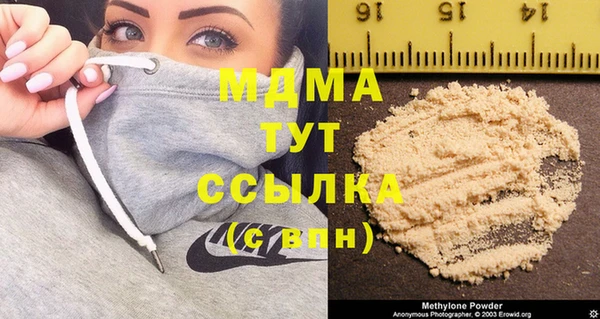 индика Арсеньев