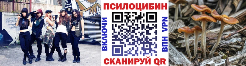 Псилоцибиновые грибы Psilocybine cubensis  Оленегорск 